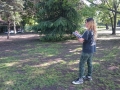 IMG-20161021-WA0034